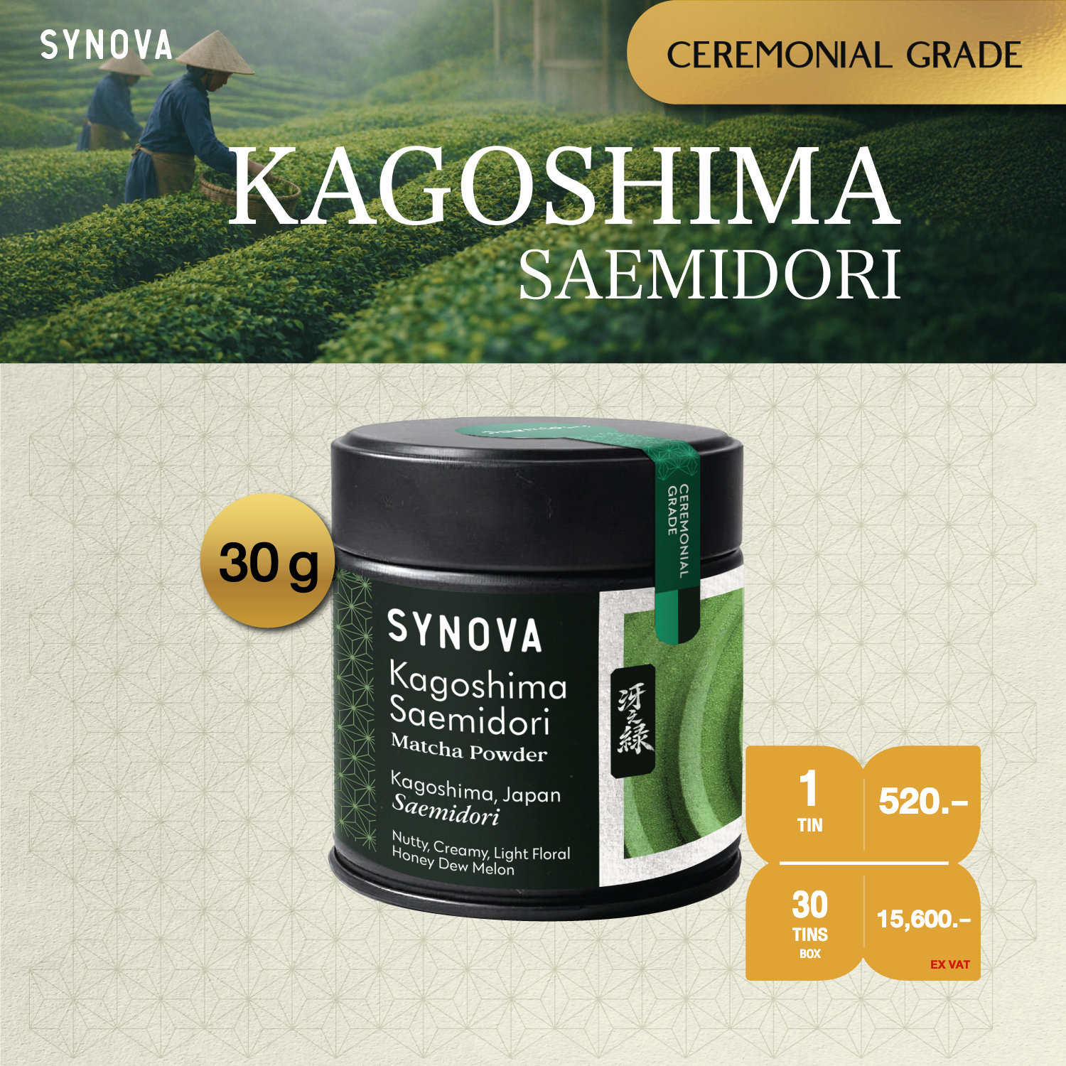 ผงเครื่องดื่ม SYNOVA : คาโกชิมะ ซาเอะมิโดริ มัทฉะ (ยกกล่อง)